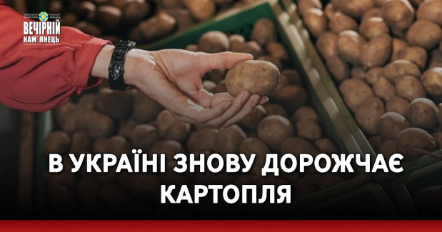 В Україні знову дорожчає картопля