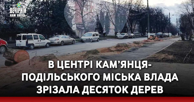 В центрі Кам’янця-Подільського міська влада зрізала десяток дерев