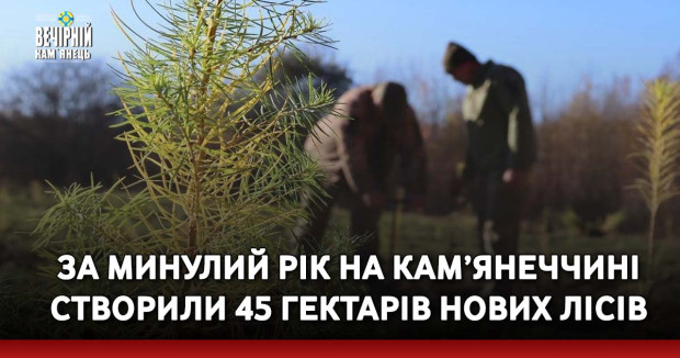 За минулий рік на Кам’янеччині створили 45 гектарів нових лісів