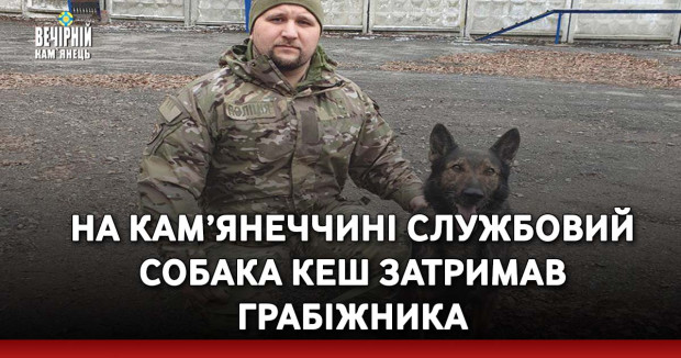 На Кам’янеччині службовий собака Кеш затримав грабіжника