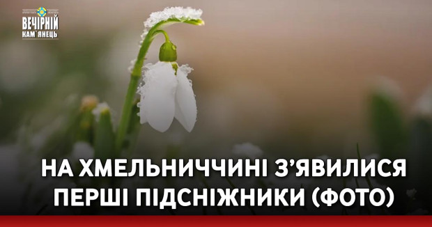 На Хмельниччині з’явилися перші підсніжники (ФОТО)