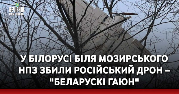 У Білорусі біля Мозирського НПЗ збили російський дрон – "Беларускі Гаюн"