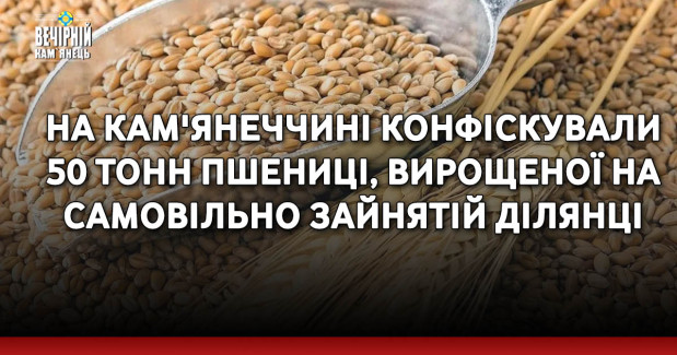 На Кам'янеччині конфіскували 50 тонн пшениці, вирощеної на самовільно зайнятій ділянці 