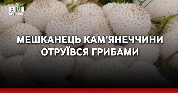 Мешканець Кам’янеччини отруївся грибами