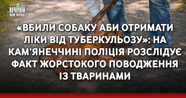 «Вбили собаку аби отримати ліки від туберкульозу»: на Кам’янеччині поліція розслідує факт жорстокого поводження із тваринами