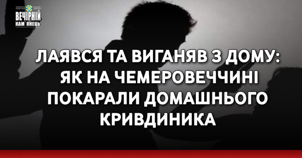 Лаявся та виганяв з дому: як на Чемеровеччині покарали домашнього кривдиника