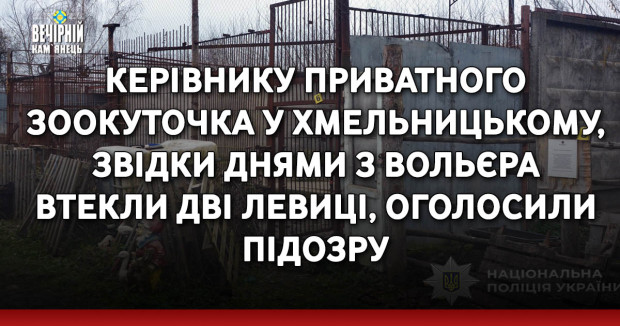 Керівнику приватного зоокуточка у Хмельницькому, звідки днями з вольєра втекли дві левиці, оголосили підозру