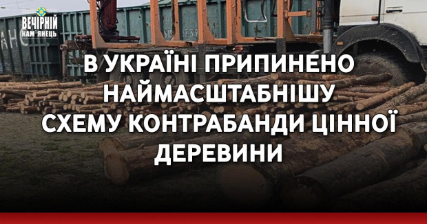 В Україні припинено наймасштабнішу схему контрабанди цінної деревини