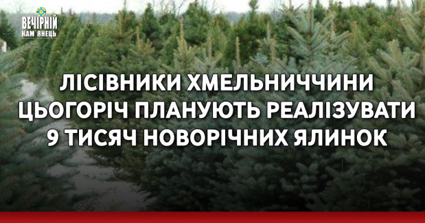 Лісівники Хмельниччини цьогоріч планують реалізувати 9 тисяч новорічних ялинок