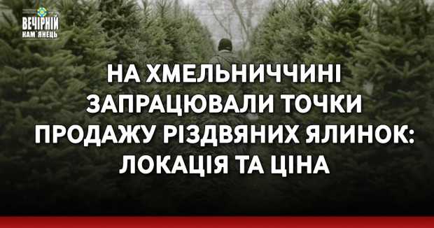 На Хмельниччині запрацювали точки продажу різдвяних ялинок: локація та ціна