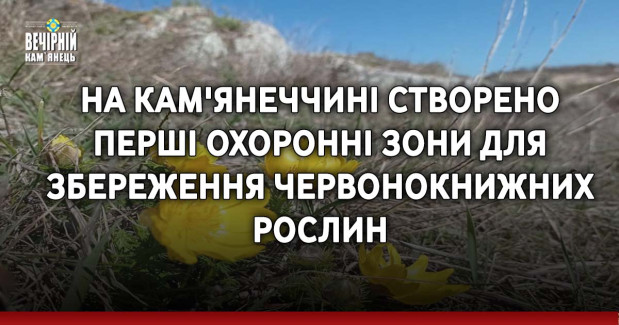 На Кам'янеччині створено перші охоронні зони для збереження червонокнижних рослин