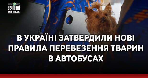В Україні затвердили нові правила перевезення тварин в автобусах