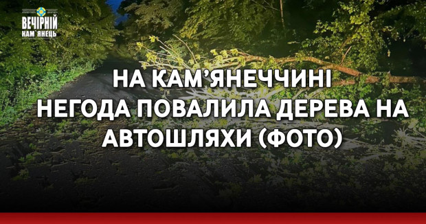 На Кам’янеччині негода повалила дерева на автошляхи (ФОТО)