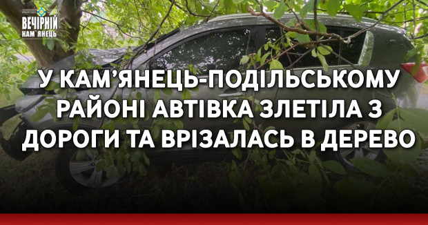 У Кам’янець-Подільському районі автівка злетіла з дороги та врізалась в дерево