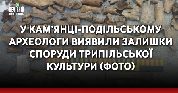 У Кам’янці-Подільському археологи виявили залишки споруди трипільської культури (ФОТО)