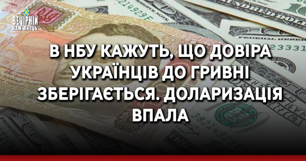 В НБУ кажуть, що довіра українців до гривні зберігається. Доларизація впала