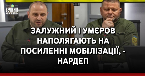 Залужний і Умєров наполягають на посиленні мобілізації, бо не буде кому боронити державу, - нардеп