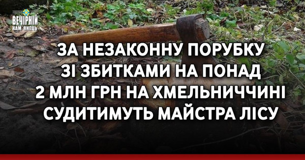 За незаконну порубку  зі збитками на понад  2 млн грн на Хмельниччині судитимуть майстра лісу
