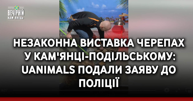 Незаконна виставка черепах у Кам'янці-Подільському: UAnimals подали заяву до поліції