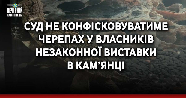 Суд не конфісковуватиме черепах у власників незаконної виставки в Кам’янці