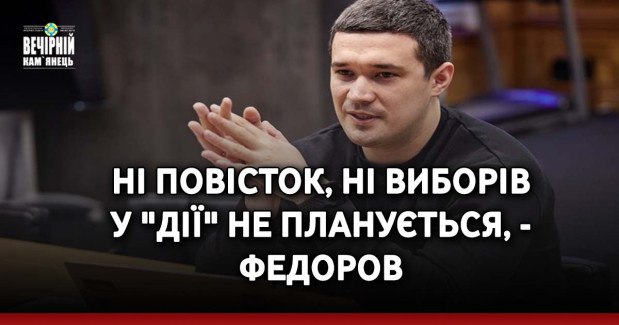Ні повісток, ні виборів у "Дії" не планується, - Федоров