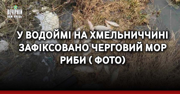 У водоймі на Хмельниччині зафіксовано черговий мор риби ( ФОТО)