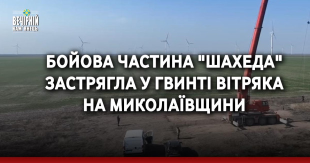 Бойова частина "Шахеда" застрягла у гвинті вітряка на Миколаївщини
