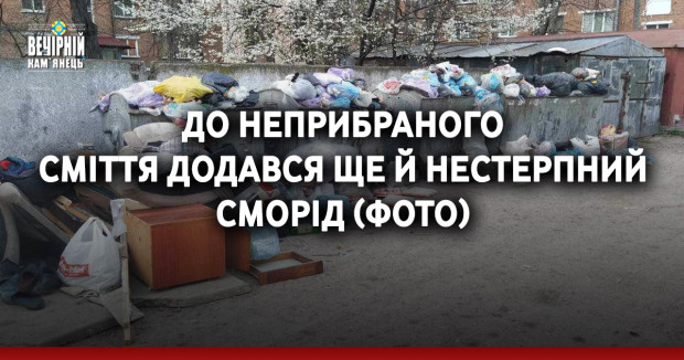 До неприбраного сміття додався ще й нестерпний сморід (ФОТО)