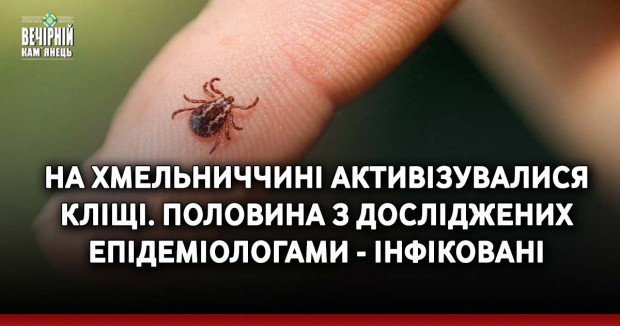 На Хмельниччині активізувалися кліщі: половина з досліджених епідеміологами - інфіковані