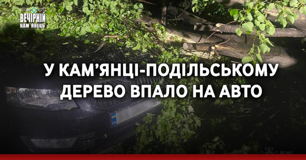 У Кам’янці-Подільському дерево впало на авто