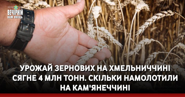 Урожай зернових на Хмельниччині сягне 4 млн тонн. Скільки намолотили на Кам'янеччині