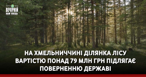 На Хмельниччині ділянка лісу вартістю понад 79 млн грн підлягає поверненню державі