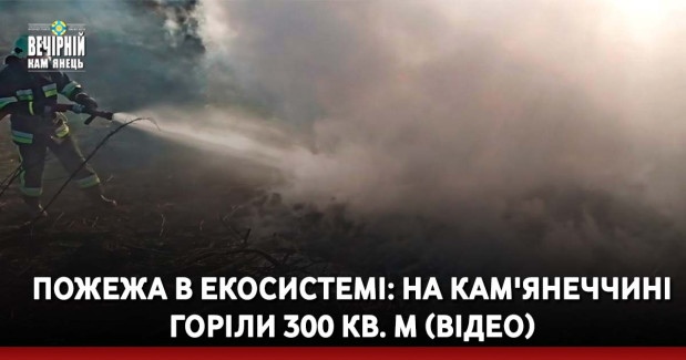 Пожежа в екосистемі: на Кам'янеччині горіли 300 кв. м (ВІДЕО)