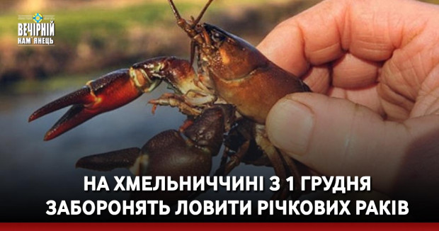 На Хмельниччині з 1 грудня заборонять ловити річкових раків