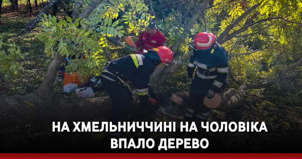  в селі Клопотівці Вовковинецької тергромади, Хмельницького району на чоловіка впало дерево.