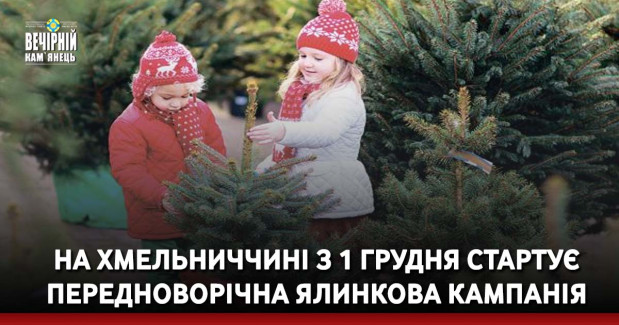 На Хмельниччині з 1 грудня стартує передноворічна ялинкова кампанія