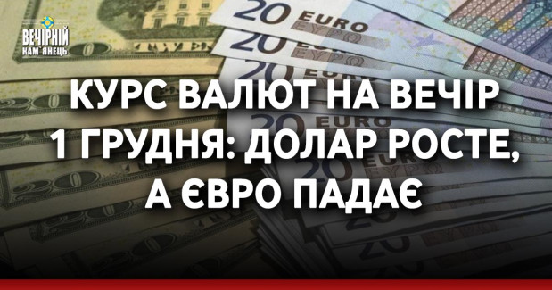 Курс валют на вечір 1 грудня: долар росте, а євро падає