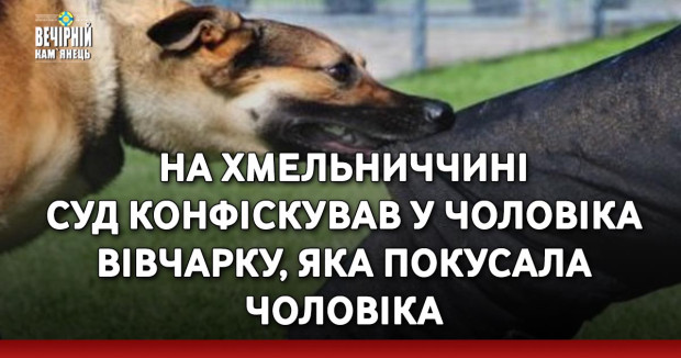 На Хмельниччині суд конфіскував у чоловіка вівчарку, яка покусала чоловіка