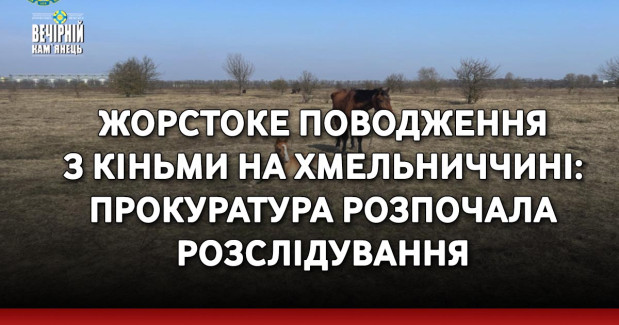 Жорстоке поводження з кіньми на Хмельниччині: прокуратура розпочала розслідування
