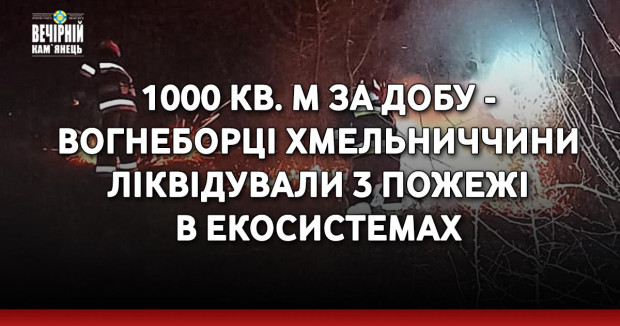 1000 кв. м за добу - вогнеборці Хмельниччини ліквідували 3 пожежі в екосистемах