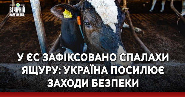 У ЄС зафіксовано спалахи ящуру: Україна посилює заходи безпеки
