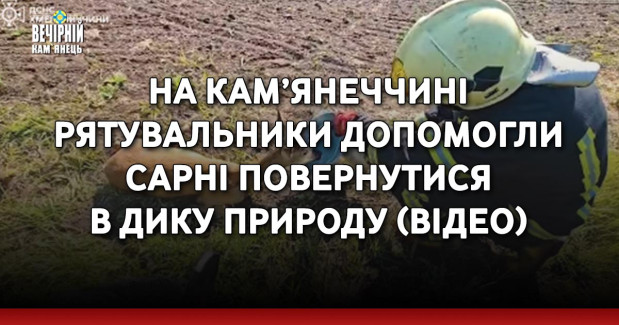 На Кам’янеччині рятувальники допомогли сарні повернутися в дику природу (ВІДЕО)