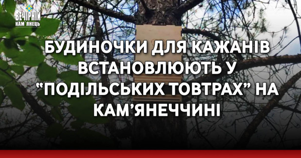 Будиночки для кажанів встановлюють у “Подільських Товтрах” на Кам’янеччині