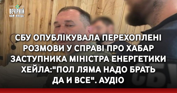 СБУ опублікувала перехоплені розмови у справі про хабар заступника міністра енергетики Хейла:"Пол ляма надо брать да и все". АУДIО
