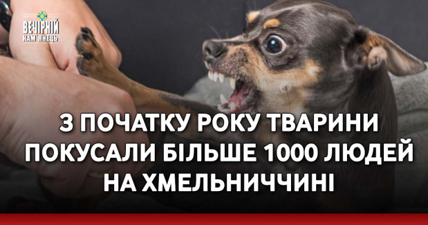 З початку року тварини покусали більше 1000 людей на Хмельниччині