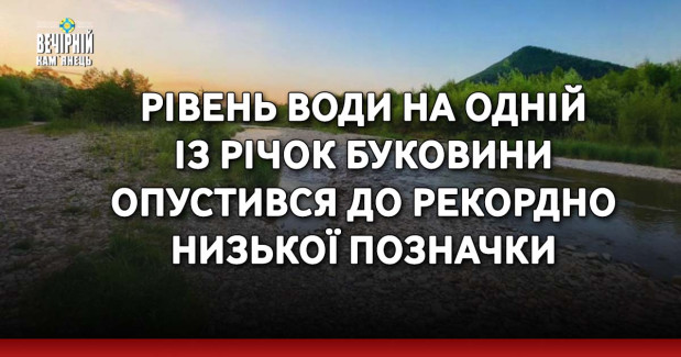 Рівень води на одній із річок Буковини опустився до рекордно низької позначки