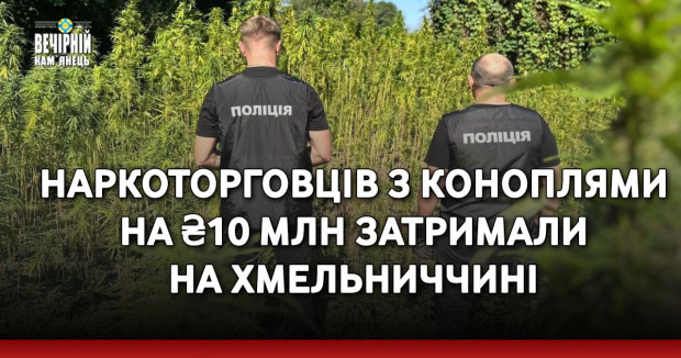 Наркоторговців з коноплями на ₴10 млн затримали на Хмельниччині