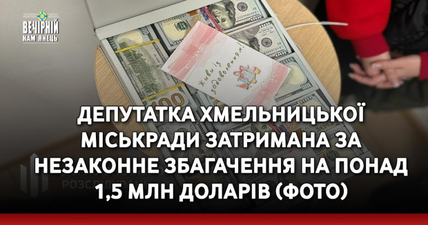 Депутатка Хмельницької міськради затримана за незаконне збагачення на понад 1,5 млн доларів (ФОТО)