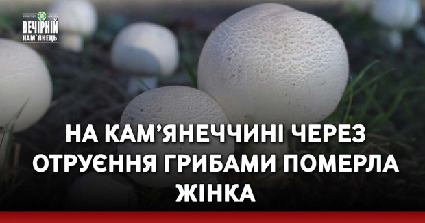 На Кам’янеччині через отруєння грибами померла жінка