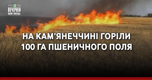 На Кам’янеччині горіли 100 го пшеничного поля
